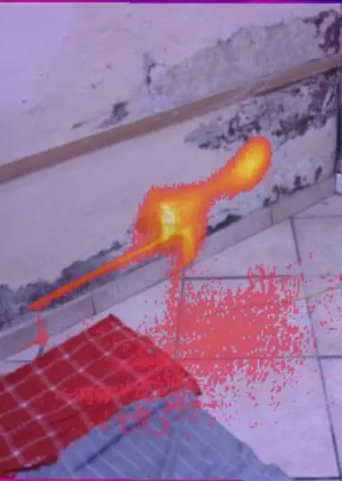 Analisi termografiche di un muro umido, scrostato e muffa perdita d'acqua occulta in Romagna.