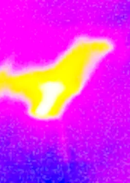 Ricerca infiltrazioni d'acqua occulte non invasivo in Romagna.